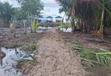 Pulau Bonyum Jadi Magnet Wisata Religi Bahari di Fakfak