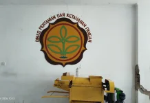 Ketergantungan Beras Impor Jadi Tantangan Fakfak saat Ini