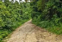Distrik Fakfak Timur Harapkan Perbaikan Jalan Sanggram Tunasgain