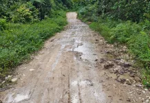 Akses Darat Rusak Parah, Warga Fakfak Timur Menjerit