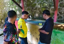 Orang Tua Peserta Lomba Mewarnai, Antusias Saksikan Brasil vs Haiti Bertanding