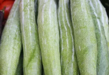Tujuh Manfaat yang Dikandung Sayur Petola untuk Kesehatan