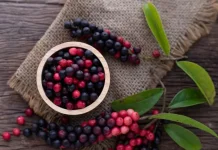Manfaat dan Kandungan Penting dari  Buah Mungil Wuni