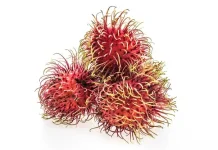 Rambutan Buah Kaya Manfaat dan Kandungan Bagi Kesehatan