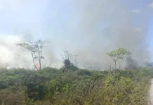 Babinsa dan Warga Berupaya Padamkan Kebakaran Lahan Bomberay Fakfak