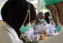 Polinef Fakfak Kembangkan Wirausaha Mahasiswa Melalui Inovasi Produk