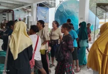 DPMPTSP Fakfak Jemput Bola Permudah Pelaku Usaha Miliki NIB