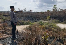 Kebakaran Hutan dan Lahan Ancam Pemukiman Warga, Polsek Bomberay Bergerak Cepat