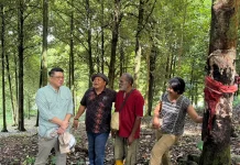 Hilirisasi Pala Tomandin Fakfak Menarik Minat Pelaku Usaha Nasional