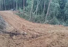 Pembangunan Akses Jalan Bandara Siboru Fakfak Tunjukkan Progres Menggembirakan