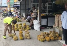 Pedagang Musiman Raup Keuntungan saat Musim Durian Tiba