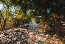 Plastik Sekali Pakai, Ancaman Nyata bagi Masa Depan Bumi dan Generasi Mendatang