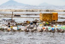 Mengungkap Bahaya Pencemaran Sampah Plastik dan Cara Mengatasinya