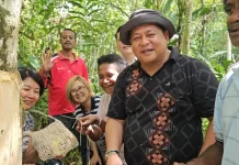 Pala Tomandin Fakfak Berpotensi Perluas Pasar hingga Mancanegara