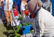 Anak TK Pertiwi Belajar Menanam Bersama Bunda PAUD Fakfak