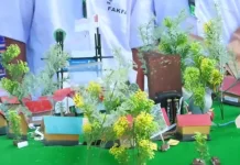 SMA Negeri Dua Fakfak Ciptakan Alarm Mitigasi Bencana Berbahan Daur Ulang