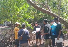 DKP Fakfak Lakukan Identifikasi Mangrove, Dukung Konservasi Ekosistem Pesisir