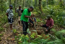 Pendampingan Lapangan Perkuat Program Pala Unggul di Distrik Karas