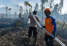 BPBD Fakfak Imbau Warga Cegah Kebakaran Hutan dan Lahan sejak Dini