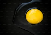 Manfaat Kuning Telur Ayam bagi Kesehatan