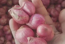 Bawang Merah Disebut Berpotensi Membantu Menjaga Kesehatan Rambut