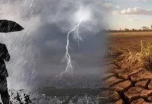 Menghadapi El Niño: 7 Tips Penting agar Tetap Aman