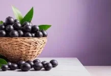 Mengenal Acai Berry, Buah Ungu dari Amazon yang Kaya Antioksidan