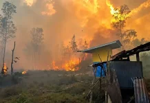 BPBD Fakfak Perketat Pemantauan Karhutla di Bomberai dan Tomage