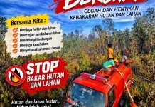 Warga Fakfak Diminta Waspadai Ancaman Kebakaran Hutan