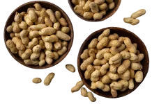 Jenis Kacang yang Baik untuk Kesehatan Tubuh