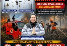 BPBD Fakfak Imbau Masyarakat Bersama Cegah Karhutla