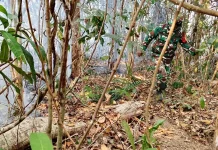 Babinsa Karas Padamkan Kebakaran Lahan di Kampung Malakuli