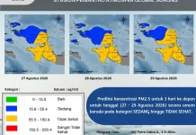 Kualitas Udara di Fakfak Diprediksi Tidak Sehat Tiga Hari ke Depan