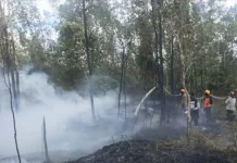 Personel Gabungan Padamkan Karhutla di Bomberai, Api Sulit Dikendalikan