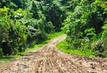Akses Sanggram-Weri Berlumpur, Mobilitas Warga Fakfak Terhambat
