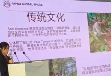 Dari Fakfak ke Guangzhou, Pala Tomandin Bidik Pasar Global