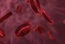 Apakah Ada Golongan Darah yang Tidak Boleh Menikah?