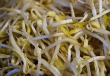 Tauge, Sayuran Kecil yang Kaya Manfaat