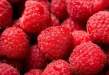 Raspberry, Buah Berwarna Merah yang Kaya Manfaat