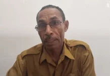 Dinas Pertanian Dorong Pengembangan Sayuran Lokal Fakfak Berkelanjutan