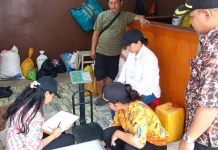 Timbangan Pembelian Pala Tomandin Diperiksa, Transparansi Transaksi Diperkuat