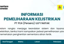 PLN-ULP Fakfak Lakukan Pemeliharaan Jaringan di Sejumlah Lokasi, Ini Jadwalnya
