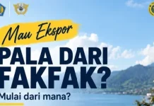 Menuju Pasar Global, Bea Cukai Fakfak Kenalkan Prosedur Ekspor Pala