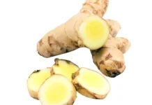 Kunyit Putih sebagai Tanaman Herbal: Manfaat, Kandungan Aktif, dan Hal yang Perlu Dip