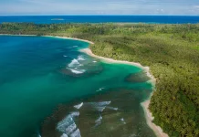 Tahukah Kamu Pulau Terbesar di Dunia, Ada yang dari Indonesia