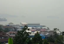 Kabut Asap Karhutla Mulai Ancam Kesehatan Warga Fakfak