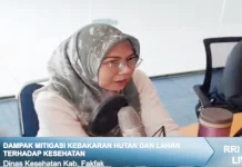 Anak Lebih Rentan Terpapar Asap Kebakaran Hutan