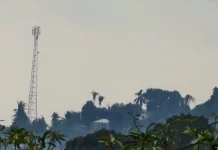 Kabut Asap Karhutla Bomberai Meluas, Dinkes Fakfak Ambil Langkah Antisipasi