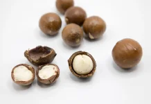 Fakta Unik Kacang Macadamia, Si Kacang Premium dari Australia