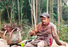 Kabut Asap Ganggu Aktivitas Petani Pala Kampung Sekru